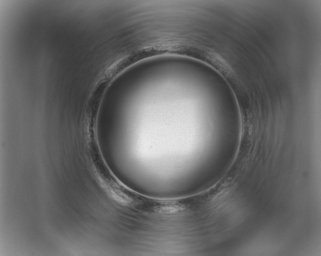 X0000067930542200604131425