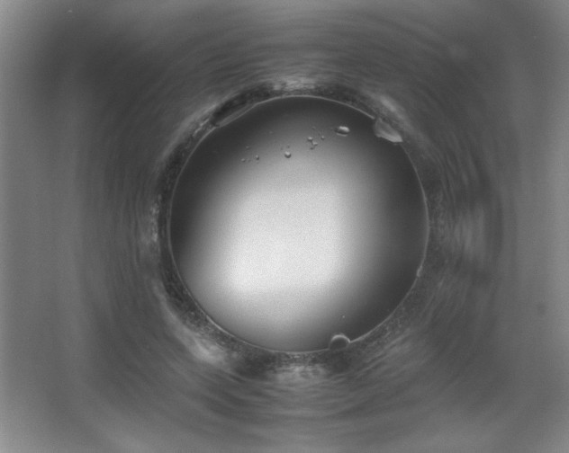X0000067930543200604131425