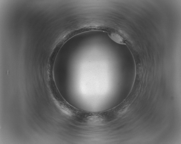 X0000067930544200604131425