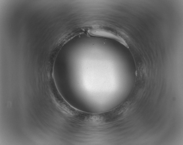 X0000067930546200604131425
