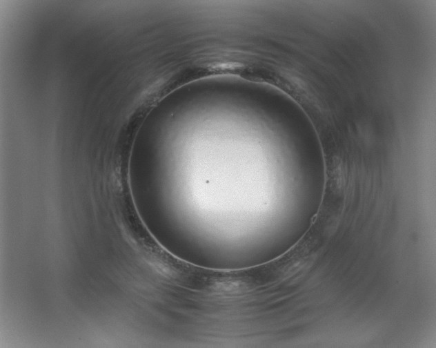 X0000067930547200604131425