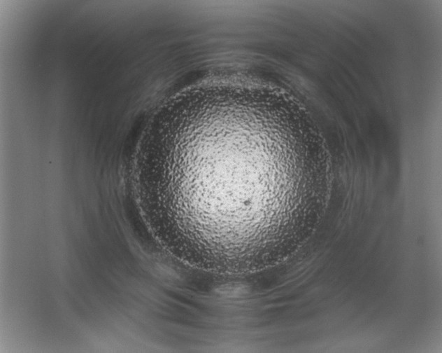 X0000067930551200604131425