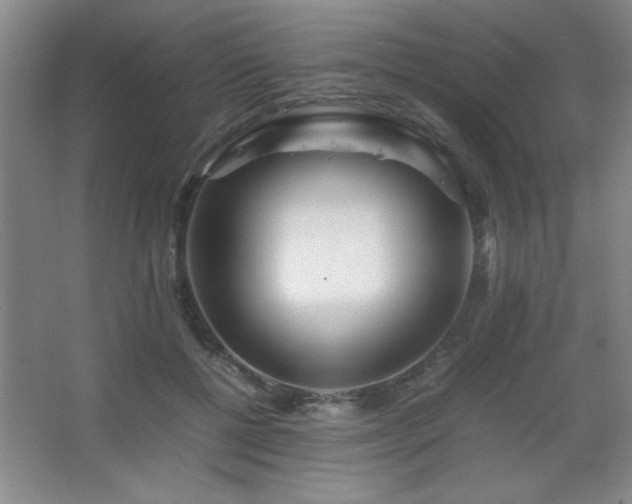 X0000067930552200604131425