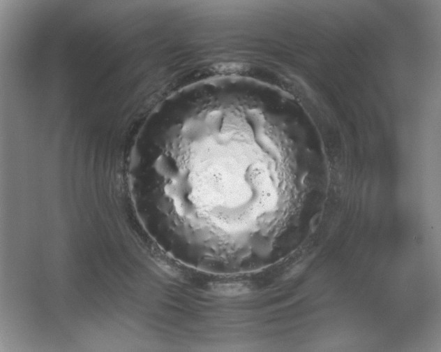 X0000067930553200604131425