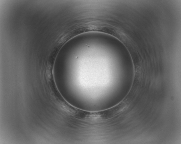 X0000067930554200604131425
