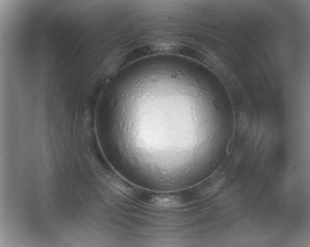X0000067930557200604131425
