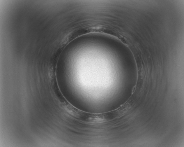 X0000067930559200604131425