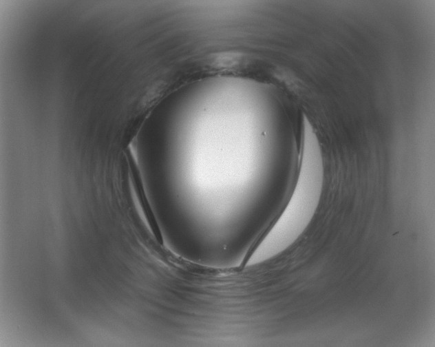X0000067930562200604131425