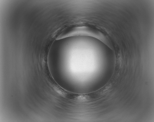 X0000067930566200604131426