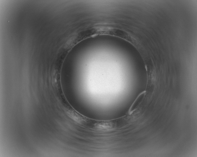 X0000067930567200604131426