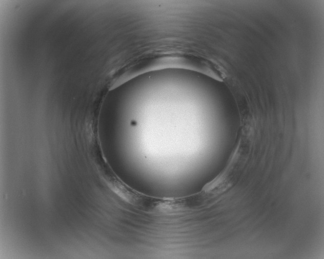 X0000067930568200604131426