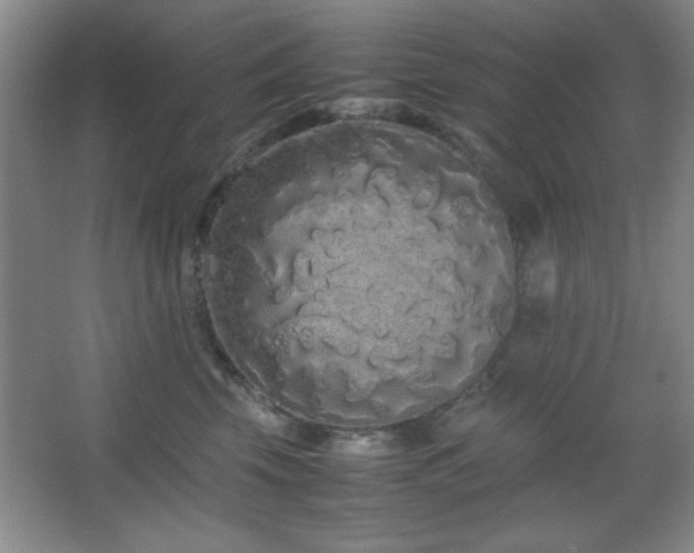 X0000067930569200604131426