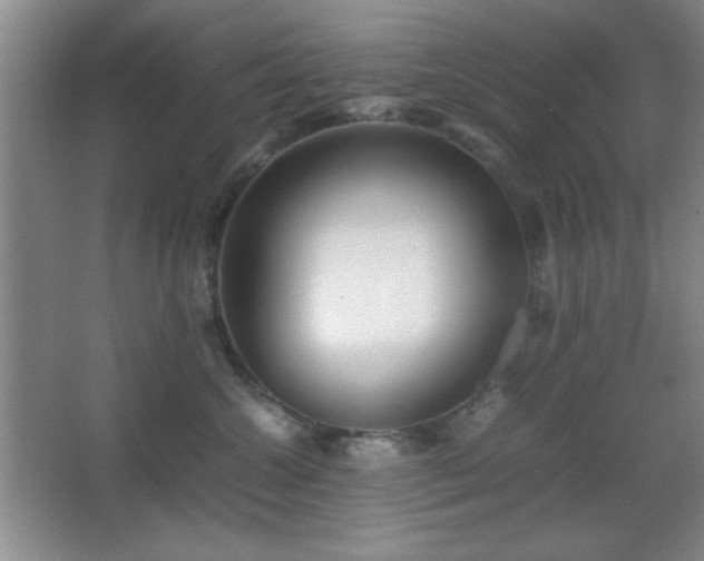 X0000067930572200604131426