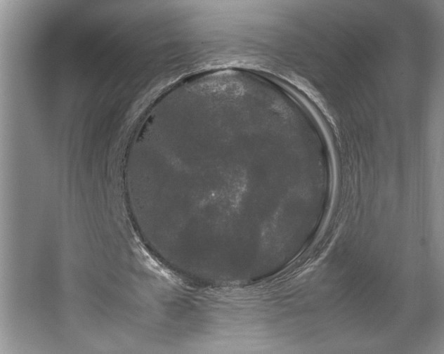 X0000067930577200604131425