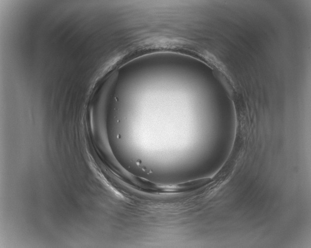 X0000067930581200604131425