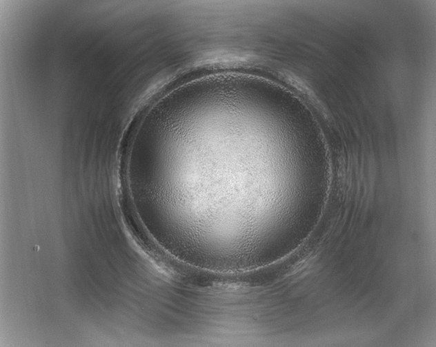 X0000067930582200604131425