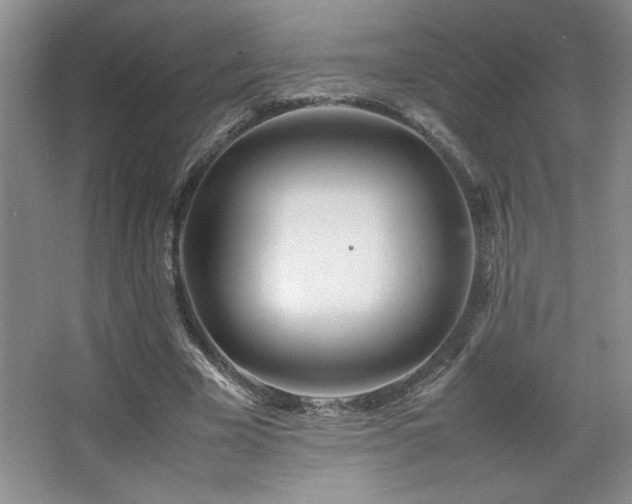 X0000067930585200604131425