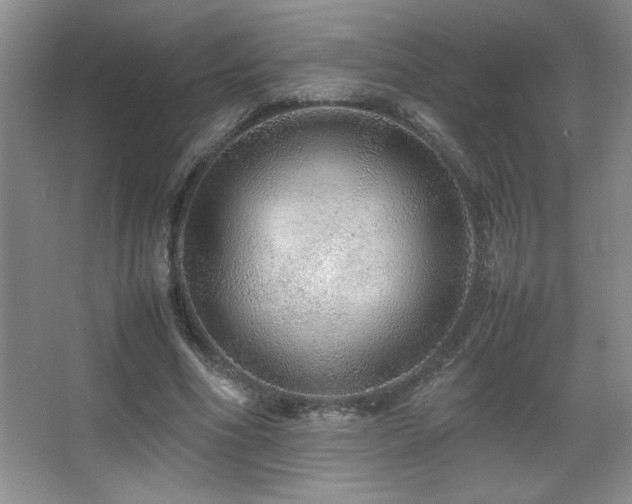 X0000067930586200604131425