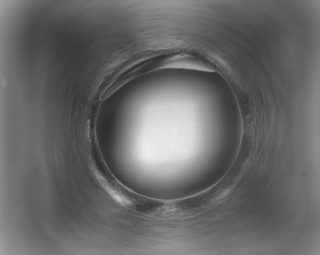 X0000067930589200604131425