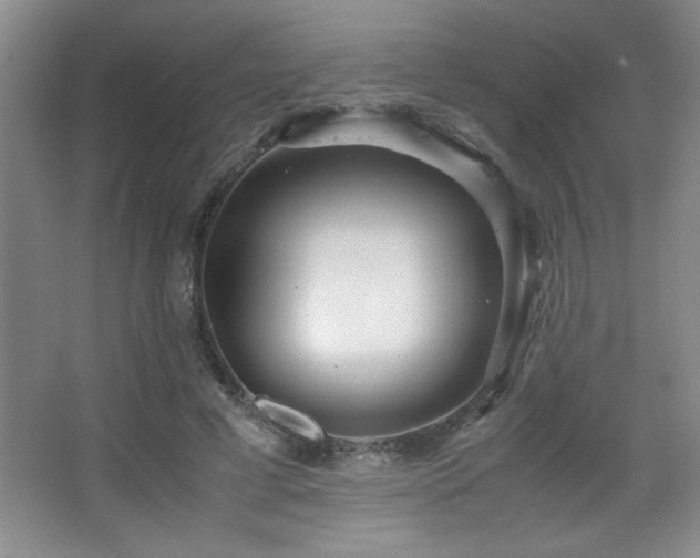 X0000067930593200604131425