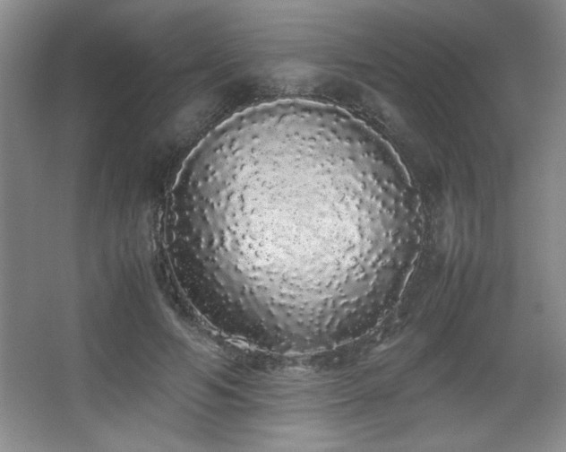 X0000067930594200604131425