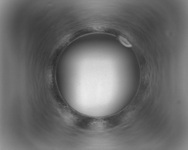 X0000067930595200604131425