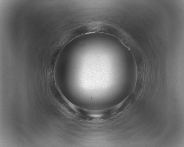 X0000067930601200604131424