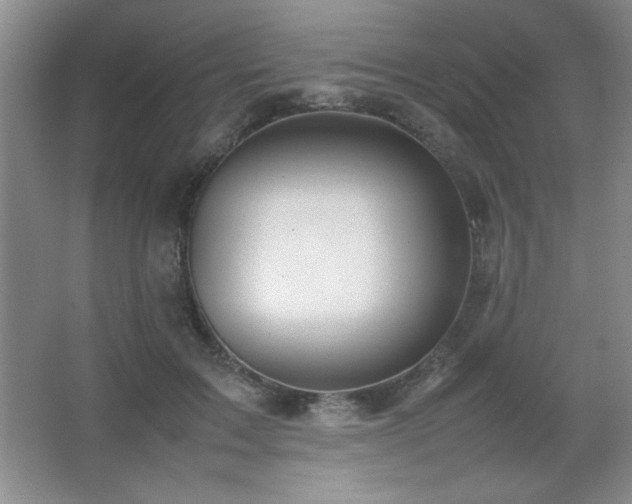 X0000067930603200604131424