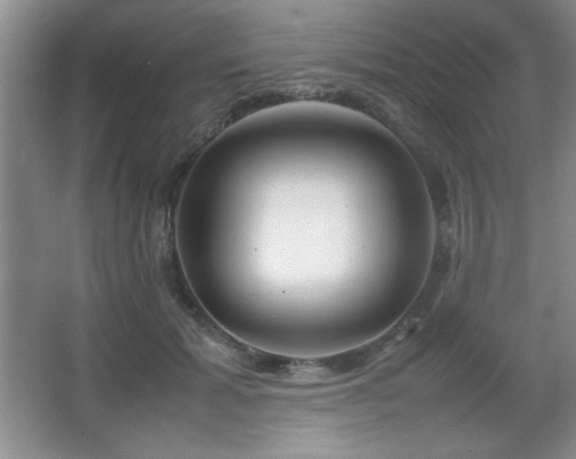 X0000067930605200604131424