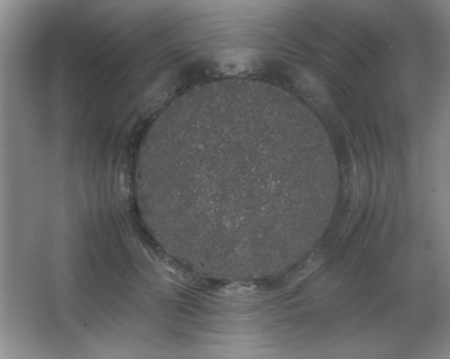 X0000067930606200604131424