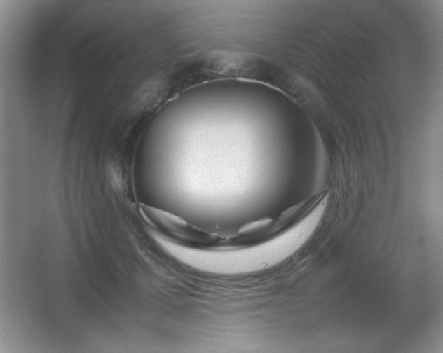X0000067930607200604131424