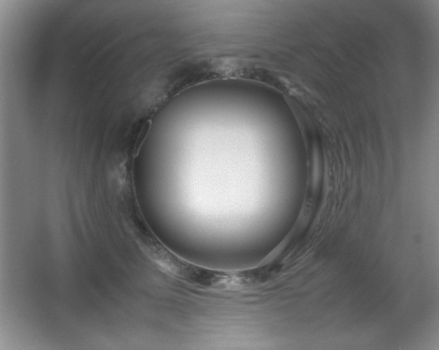X0000067930611200604131424