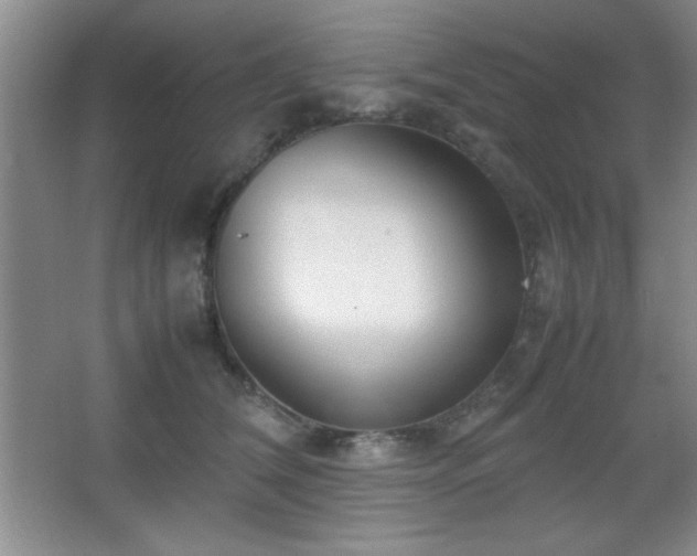 X0000067930612200604131424