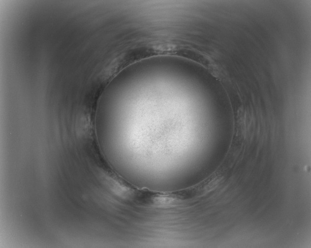 X0000067930614200604131424