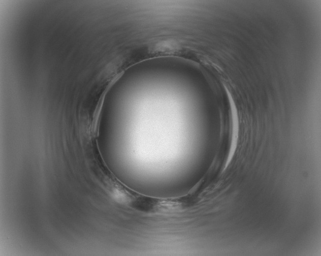 X0000067930617200604131424