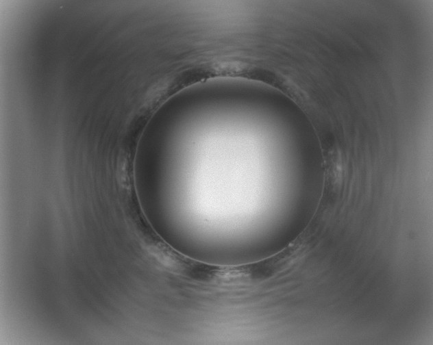 X0000067930619200604131424