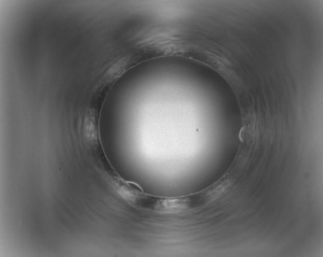 X0000067930622200604131424