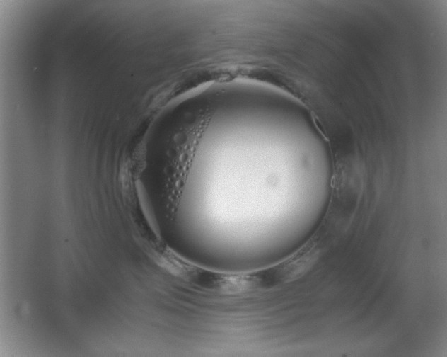 X0000067930623200604131424