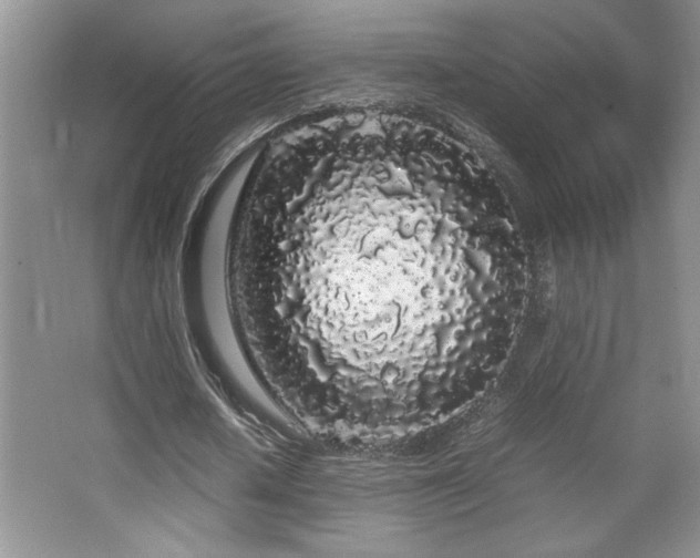 X0000067930626200604131423