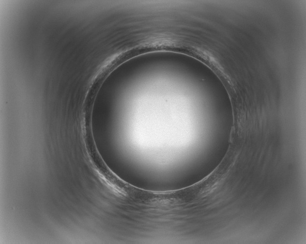 X0000067930629200604131423