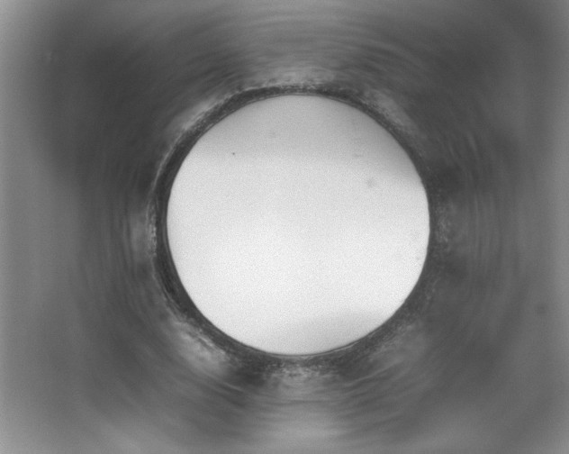 X0000067930632200604131423