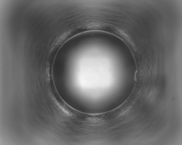X0000067930633200604131423