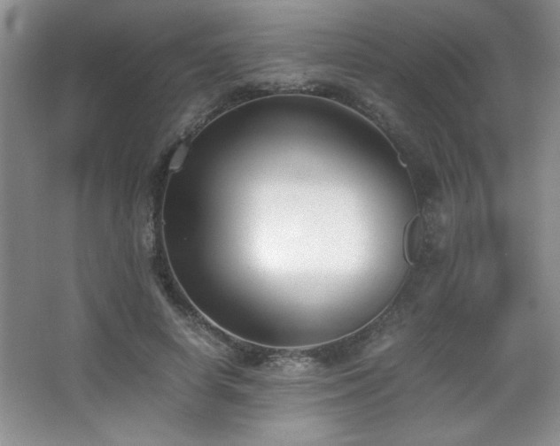 X0000067930642200604131424