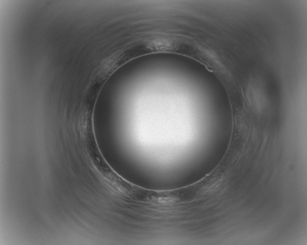 X0000067930645200604131424
