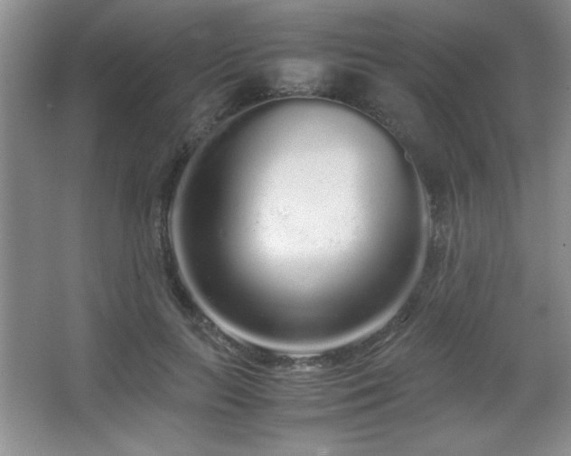 X0000067930647200604131424