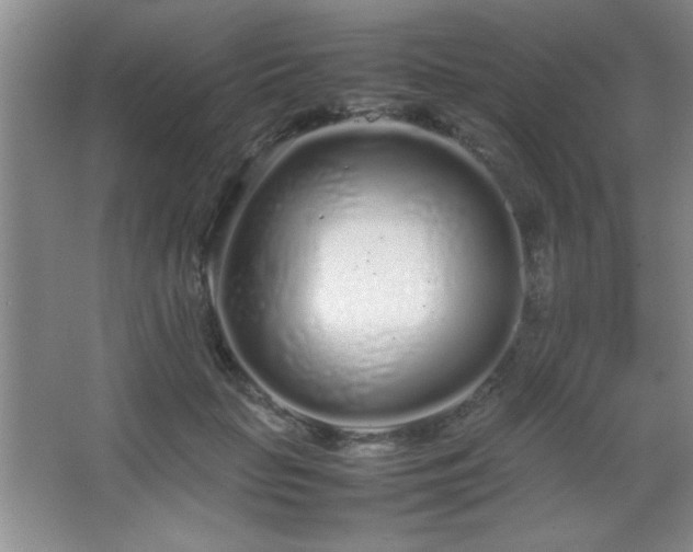 X0000067930653200604131424