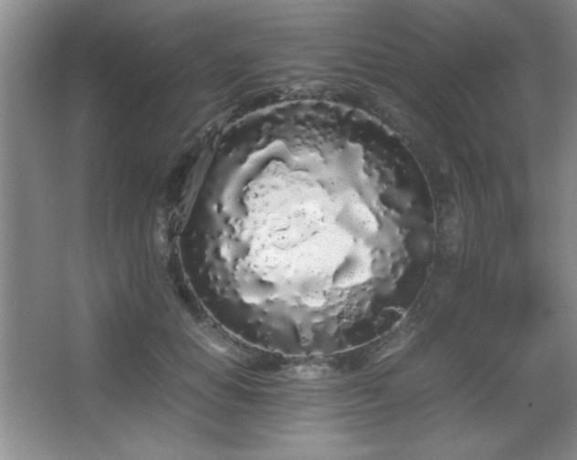 X0000067930654200604131424