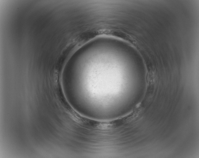 X0000067930664200604131424