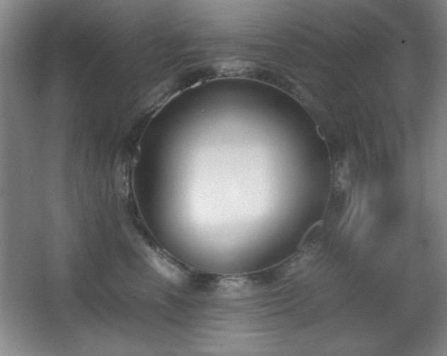 X0000067930666200604131424