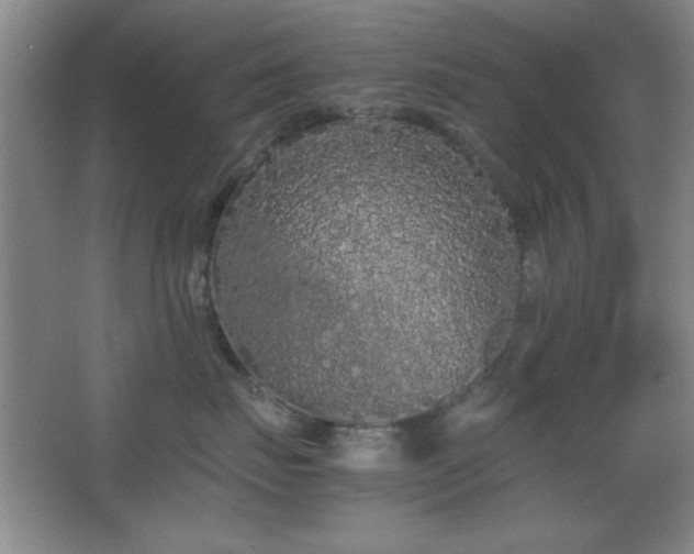 X0000067930671200604131424